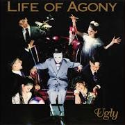 Le texte musical OTHER SIDE OF THE RIVER de LIFE OF AGONY est également présent dans l'album Ugly (1995)