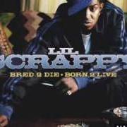 Le texte musical G-SHIT de LIL SCRAPPY est également présent dans l'album Bred 2 die born 2 live (2006)