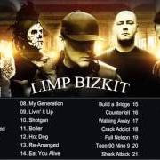 Le texte musical FAITH de LIMP BIZKIT est également présent dans l'album Greatest hits (2005)