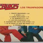 Le texte musical PIENSO de LOS BUKIS est également présent dans l'album Los triunfadores (1979)