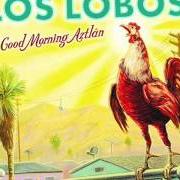 Le texte musical LUZ DE MI VIDA de LOS LOBOS est également présent dans l'album Good morning aztlan (2002)