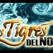 Le texte musical EL ENFERMITO de LOS TIGRES DEL NORTE est également présent dans l'album Aguas revueltas (2010)