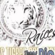 Le texte musical TONTA de LOS TIGRES DEL NORTE est également présent dans l'album Raices (2008)