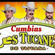 Le texte musical LOS DICHOS DE LUPITA de LOS TUCANES DE TIJUANA est également présent dans l'album De fiesta con (1997)