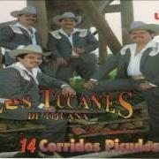 Le texte musical EL PUÑO DE POLVO de LOS TUCANES DE TIJUANA est également présent dans l'album 14 tucanazos bien pesados (1995)