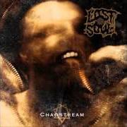 Le texte musical ANGEL'S CRY de LOST SOUL est également présent dans l'album Chaostream (2005)