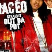 Le texte musical HOW YOU RIDE de MACEO est également présent dans l'album Straight out the pot (2005)