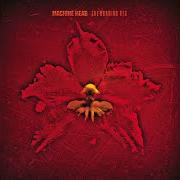 Le texte musical I DEFY de MACHINE HEAD est également présent dans l'album The burning red (1999)
