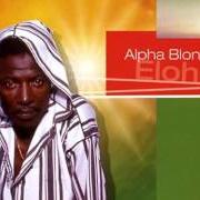 Le texte musical PETINI GO GAOU de ALPHA BLONDY est également présent dans l'album Elohim (1999)