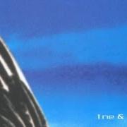 Le texte musical IN THE MOOD de ALPHAVILLE est également présent dans l'album Dreamscapes - disc 1 (1999)