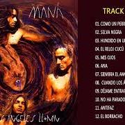 Le texte musical TE LLORE UN RIO de MANÁ est également présent dans l'album 100% maná (donde jugarán los niños - cd2) (2001)
