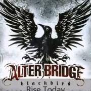 Le texte musical SHOW ME A SIGN de ALTER BRIDGE est également présent dans l'album Ab iii (2010)