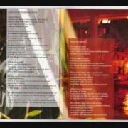 Le texte musical POSSO ESSERE INCAZZATO de MASSIMO DI CATALDO est également présent dans l'album Macchissenefrega (2009)