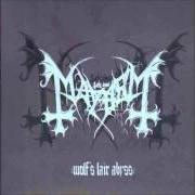 Le texte musical ANCIENT SKIN de MAYHEM est également présent dans l'album Wolf's lair abyss (1997)