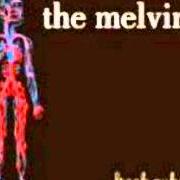 Le texte musical A GROWING DISGUST de THE MELVINS est également présent dans l'album Freak puke (2012)