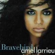 Le texte musical SACRED de AMEL LARRIEUX est également présent dans l'album Bravebird (2004)