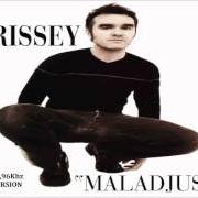 Le texte musical HE CRIED de MORRISSEY est également présent dans l'album Maladjusted (1997)
