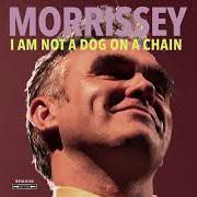 Le texte musical MY HURLING DAYS ARE DONE de MORRISSEY est également présent dans l'album I am not a dog on a chain (2020)