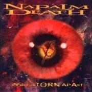 Le texte musical REFLECT ON CONFLICT de NAPALM DEATH est également présent dans l'album Inside the torn apart (1997)