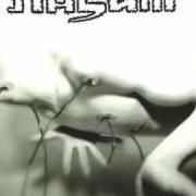 Le texte musical RIOT de NASUM est également présent dans l'album Human 2.0 (1999)