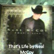 Le texte musical THAT'S A PICTURE de NEAL MCCOY est également présent dans l'album That's life (2005)