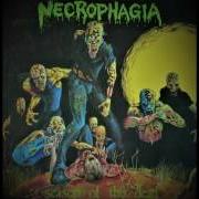 Le texte musical BEYOND AND BACK de NECROPHAGIA est également présent dans l'album Season of the dead (1987)