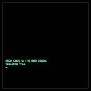 Le texte musical GIRL IN AMBER de NICK CAVE & THE BAD SEEDS est également présent dans l'album Skeleton tree (2016)