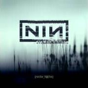 Le texte musical YOU KNOW WHAT YOU ARE? de NINE INCH NAILS est également présent dans l'album With teeth (2005)