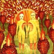 Le texte musical THE ACTOR'S OPPROBRIUM de OF MONTREAL est également présent dans l'album The sunlandic twins (2005)