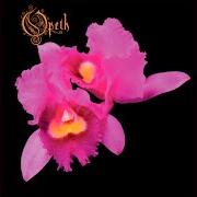 Le texte musical IN THE MIST SHE WAS STANDING de OPETH est également présent dans l'album Orchid (1995)