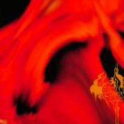 Le texte musical LIKE FIRE TO WATER de ORPHANED LAND est également présent dans l'album El norra alila (1996)