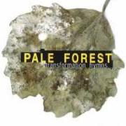 Le texte musical PUNY MINDS de PALE FOREST est également présent dans l'album Transformation hymns (1998)