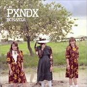 Le texte musical HUÉSPED EN CASA PROPIA de PANDA est également présent dans l'album Bonanza (2012)