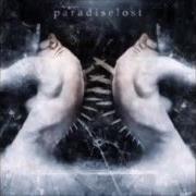Le texte musical ACCEPT THE PAIN de PARADISE LOST est également présent dans l'album Paradise lost (2005)