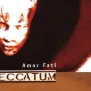 Le texte musical BETWEEN THE LIVING AND THE DEAD de PECCATUM est également présent dans l'album Amor fati (2000)