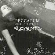 Le texte musical BLACK STAR de PECCATUM est également présent dans l'album Lost in reverie (2004)