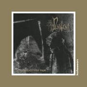 Le texte musical NECROPOLIS de PENITENT est également présent dans l'album The beauty of pain (1997)