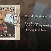 Le texte musical BOHEMIO DE AFICION de PEPE AGUILAR est également présent dans l'album Historias de mi tierra (2005)