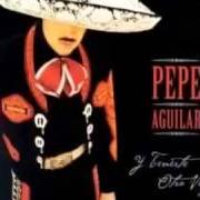 Le texte musical ME FALTA VALOR de PEPE AGUILAR est également présent dans l'album Y tenerte otra vez (2003)