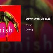 Le texte musical DOWN WITH DISEASE de PHISH est également présent dans l'album Hoist (1994)