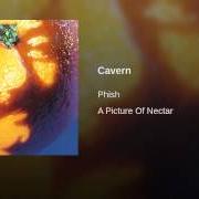 Le texte musical LLAMA de PHISH est également présent dans l'album Picture of nectar (1992)