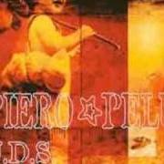 Le texte musical AMORE IMMAGINATO de PIERO PELÙ est également présent dans l'album U.D.S. - l'uomo della strada (2002)