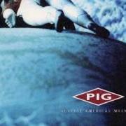 Le texte musical SAVE ME (LOCUST REMIX) de PIG est également présent dans l'album Genuine american monster (2002)