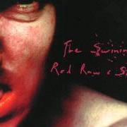 Le texte musical THE FOUNTAIN OF MIRACLES (PIG REMIX) de PIG est également présent dans l'album The swining / red raw & sore (1999)
