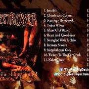 Le texte musical HYPERVIOLET de PIG DESTROYER est également présent dans l'album Prowler in the yard (2001)