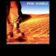 Le texte musical SE MI VUOI de PINO DANIELE est également présent dans l'album Non calpestare i fiori nel deserto (1995)