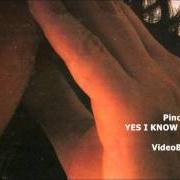 Le texte musical JE SO' PAZZO de PINO DANIELE est également présent dans l'album Yes i know my way (1998)
