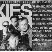 Le texte musical DIG FOR FIRE de PIXIES est également présent dans l'album Bossanova (1990)