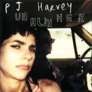 Le texte musical THE SLOW DRUG de PJ HARVEY est également présent dans l'album Uh huh her (2004)