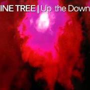 Le texte musical UP THE DOWNSTAIR de PORCUPINE TREE est également présent dans l'album Up the downstairs (1993)